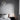 Miira Brass Pendant Light - LUUGAA