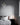 Miira Brass Pendant Light - LUUGAA