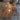 Momento Pendant Light - LUUGAA
