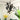 Monkey Chandelier - LUUGAA