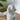 Monkey Table Lamp - LUUGAA