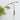 Myrna Wall Light - LUUGAA