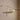 Myrna Wall Light - LUUGAA