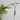 Myrna Wall Light - LUUGAA