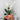 Necklace Pendant Lamp - LUUGAA