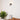 Nordica Wall Lamp - LUUGAA