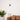 Nordica Wall Lamp - LUUGAA