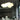 Nuvola Pendant Lamp - LUUGAA