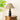 Oliver Table Lamp - LUUGAA