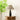 Oliver Table Lamp - LUUGAA