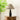Oliver Table Lamp - LUUGAA