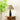 Oliver Table Lamp - LUUGAA