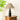 Oliver Table Lamp - LUUGAA