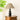 Oliver Table Lamp - LUUGAA