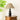 Oliver Table Lamp - LUUGAA