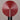 Orbe Table Lamp - LUUGAA