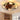 Orlando Vintage Ceiling Fan Light - LUUGAA