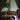 Ostrich Feather Table Lamp - LUUGAA