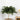 Ostrich Feather Table Lamp - LUUGAA