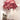 Ostrich Feather Table Lamp - LUUGAA