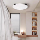 Panda Ceiling Light - LUUGAA