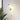 Paper Crane Bird LED Chandelier - LUUGAA