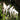 Paper Crane Bird LED Chandelier - LUUGAA