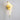 Peaceful Bird Wall Lamp - LUUGAA