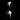 Peaceful Bird Wall Lamp - LUUGAA