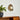 Pebble Disc Wall Light - LUUGAA