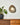 Pebble Disc Wall Light - LUUGAA