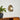 Pebble Disc Wall Light - LUUGAA