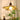 Petal Bloom Pendant Light - LUUGAA