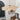 Petals Bloom Rattan Pendant Lamp - LUUGAA