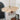 Petals Bloom Rattan Pendant Lamp - LUUGAA