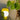 Petals Glass Table Lamp - LUUGAA