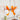 Phosphorescent Chandelier - LUUGAA