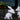 Rabbit X Table Lamp - LUUGAA