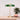 Revolve Table Lamp - LUUGAA