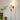 Roma Wall Sconce - LUUGAA