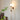 Roma Wall Sconce - LUUGAA