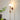 Roma Wall Sconce - LUUGAA