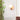 Romus Wall Lamp - LUUGAA