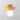 Round Macaron Ceiling Lamp - LUUGAA