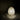 Rowen Glow Paper Table Lamp - LUUGAA
