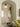 Schoolhouse Ceiling Light - LUUGAA