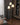 Serenade Floor Lamp - LUUGAA