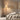 Serpentine Twist Floor Lamp - LUUGAA