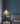 Shell Mini Pendant Light - LUUGAA