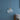 Shell Mini Pendant Light - LUUGAA